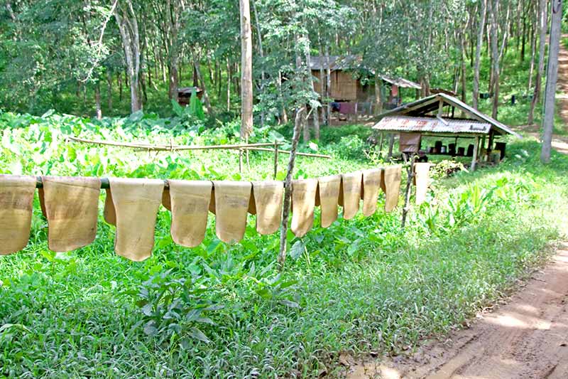 TreeHouse_Villas_D2_Local_Insight_1-(3)