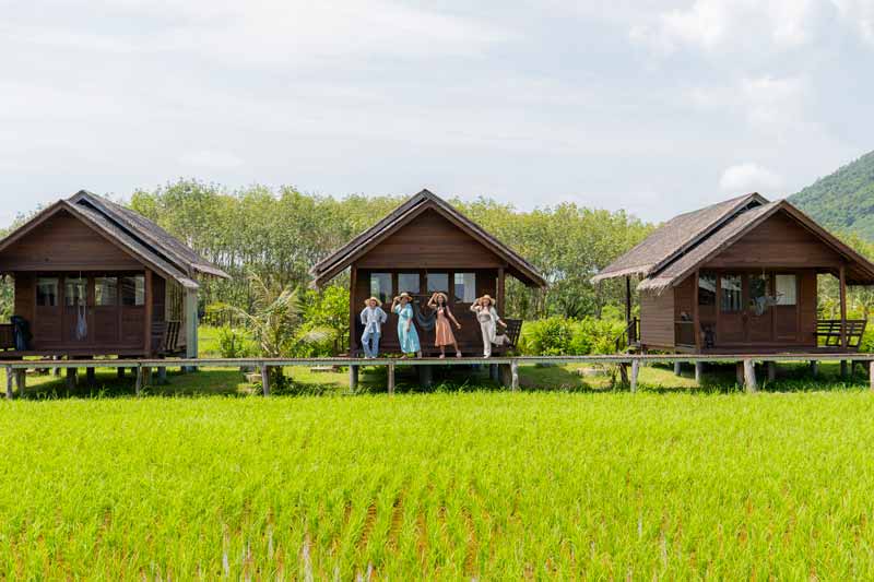 TreeHouse_Villas_D2_Local_Insight_1-(5)