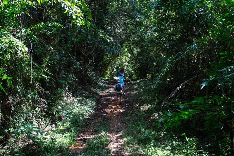 TreeHouse_Villas_D7_Paradise_Experience_1-(3)