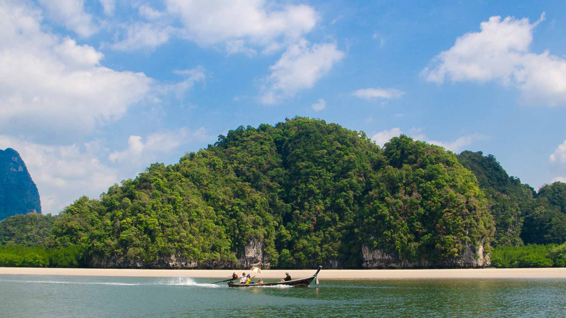 TreeHouse_Villas_D_Banner_1-(1)