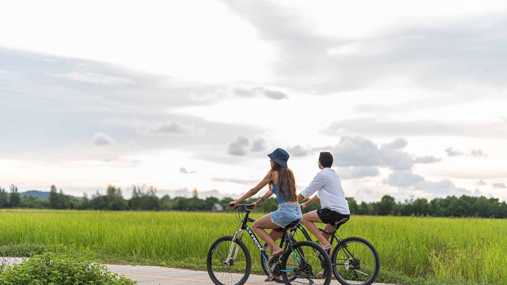 TreeHouse_Villas_D_Banner_1-(3)