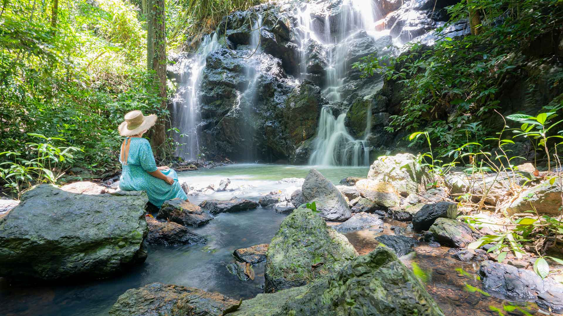 TreeHouse_Villas_D_Banner_1-(4)